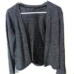 2-Pc. Shimmering Silver-Colored Cocktail Sweater